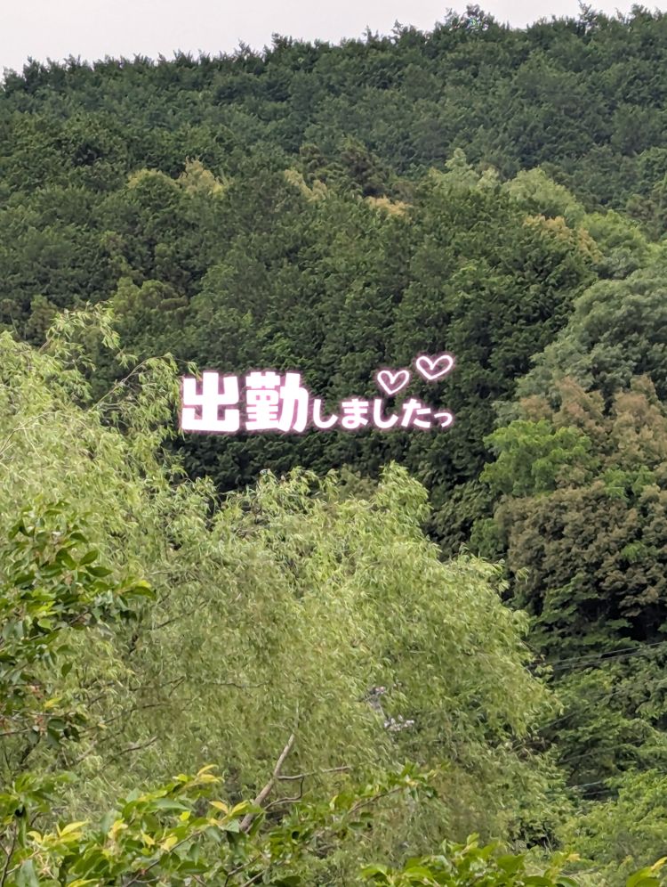 出勤しました(˶' ᵕ ' ˶)
