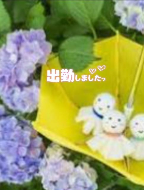 出勤しました(˶' ᵕ ' ˶)