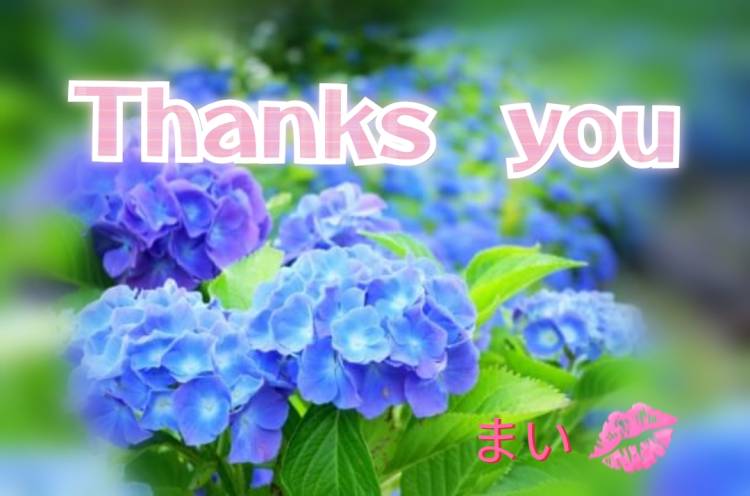 お礼です✨