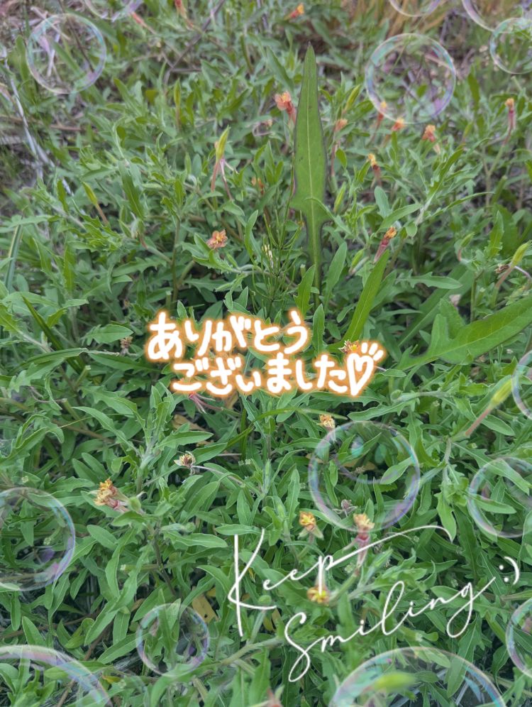 金曜日のお礼💌