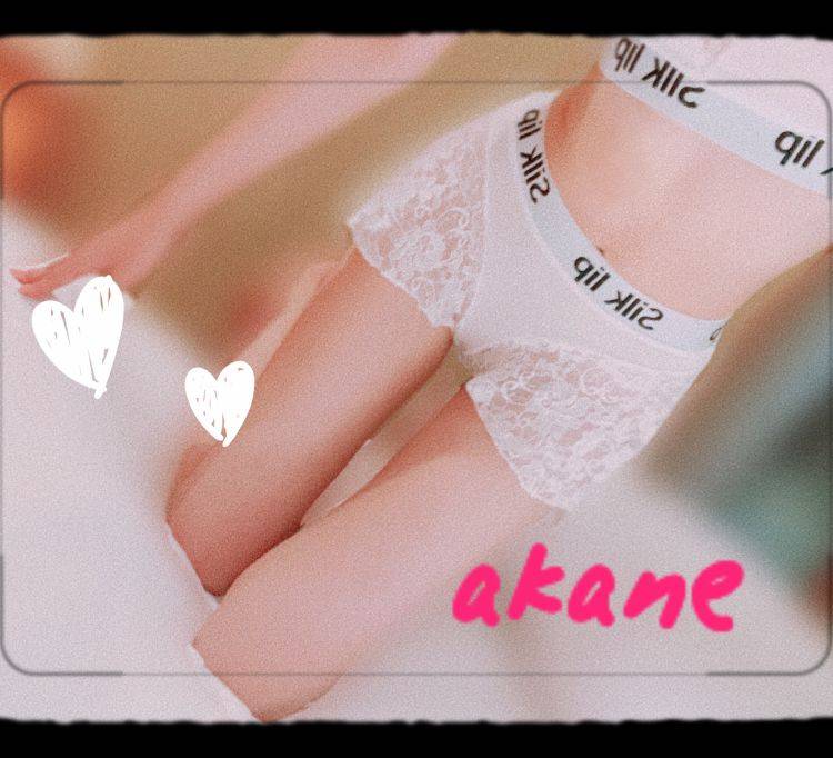 今日も