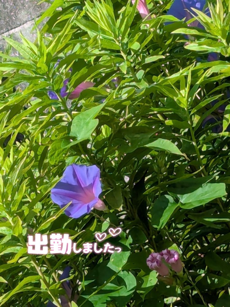ゆうこ★美魔女★品のある女性が豹変！