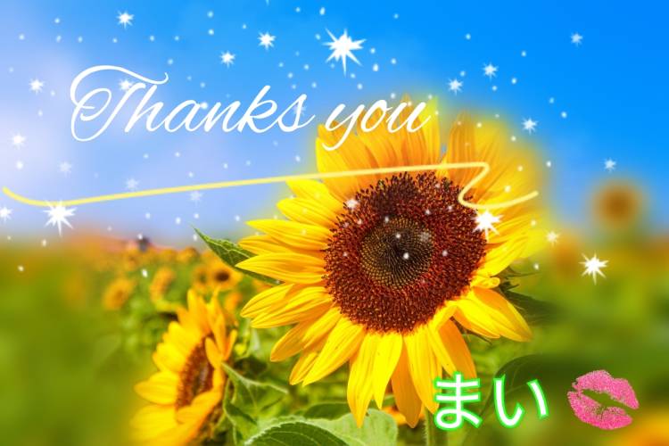 ま い☆本当に業界初・欲求不満人妻☆