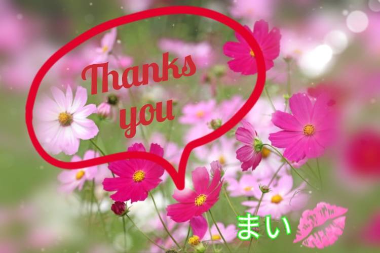ま い☆本当に業界初・欲求不満人妻☆