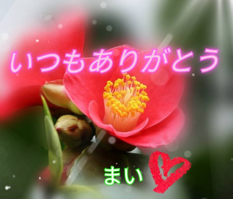 ま い☆本当に業界初・欲求不満人妻☆