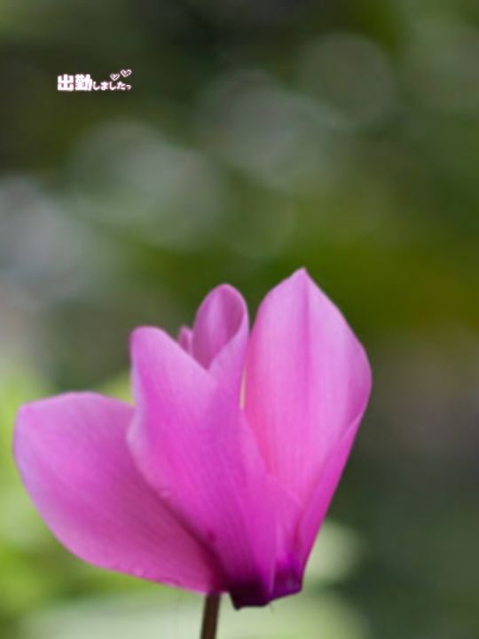 ゆうこ★美魔女★品のある女性が豹変！