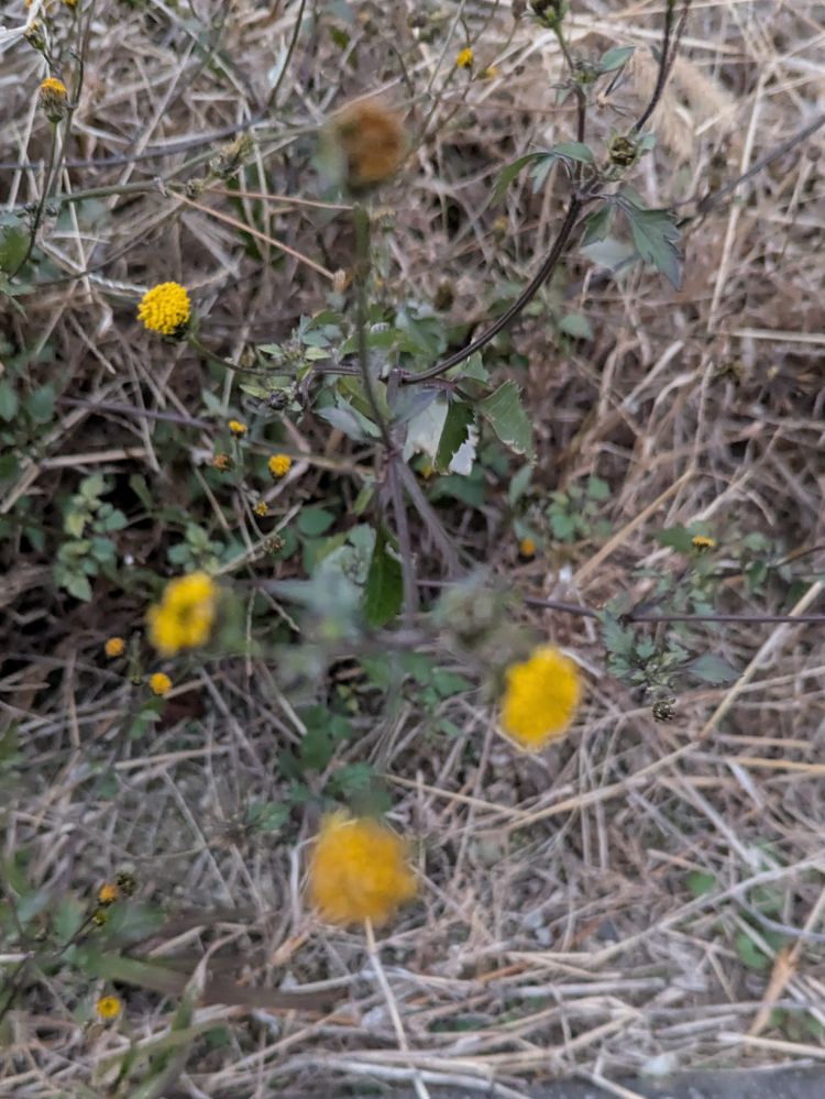 ゆうこ★美魔女★品のある女性が豹変！