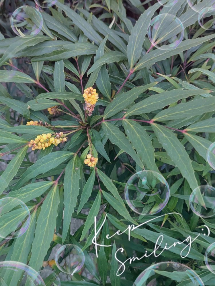 ゆうこ★美魔女★品のある女性が豹変！