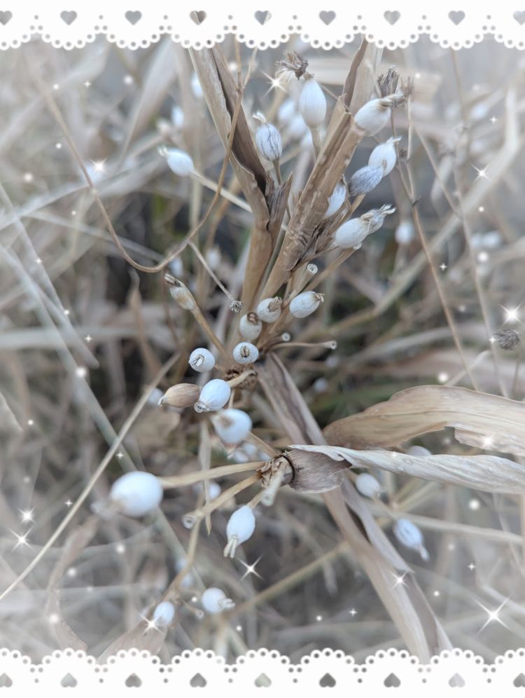 ゆうこ★美魔女★品のある女性が豹変！