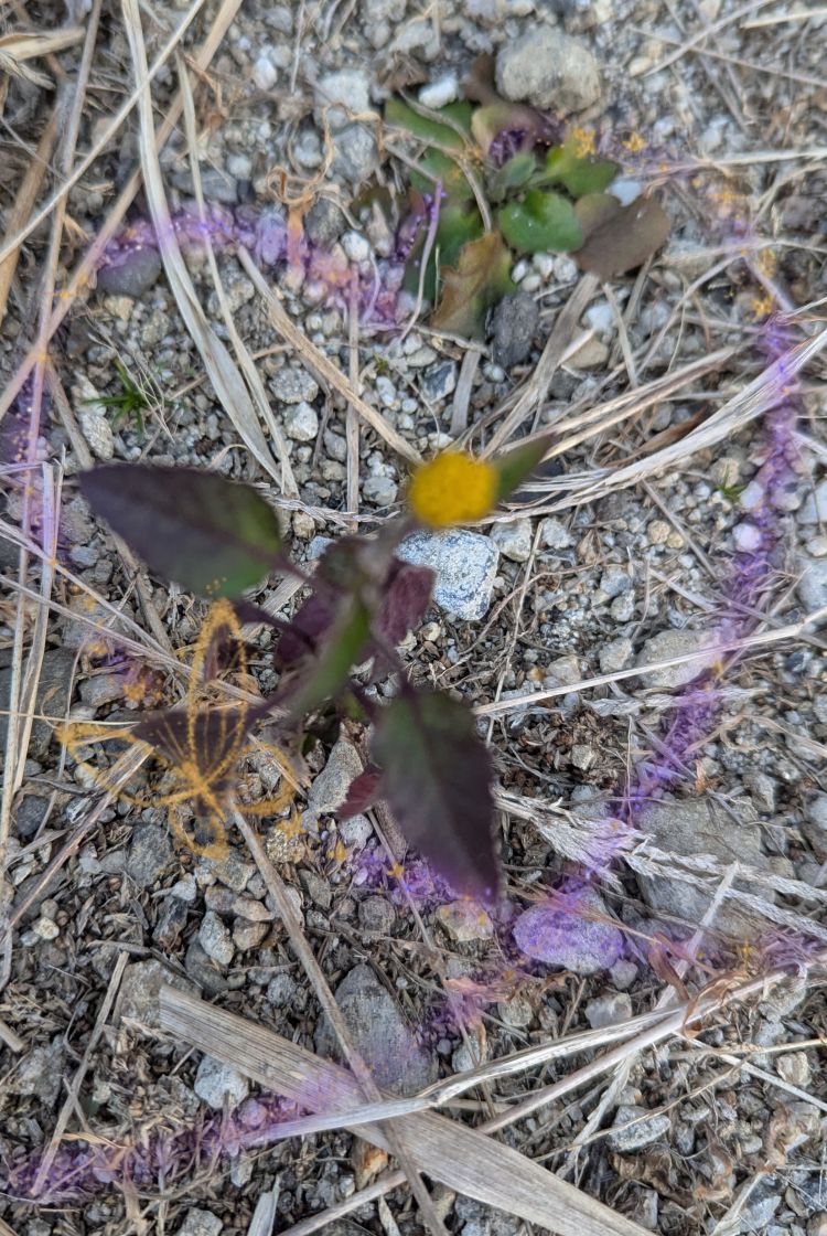 ゆうこ★美魔女★品のある女性が豹変！