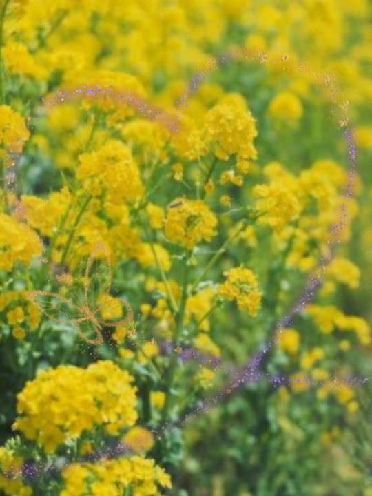 出勤しました(˶' ᵕ ' ˶)