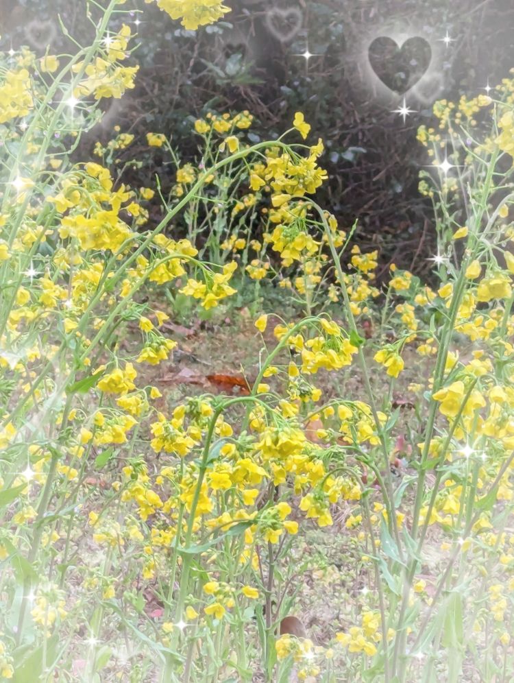 出勤しました(˶' ᵕ ' ˶)