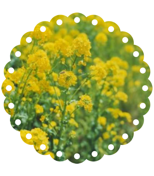 出勤しました(˶' ᵕ ' ˶)