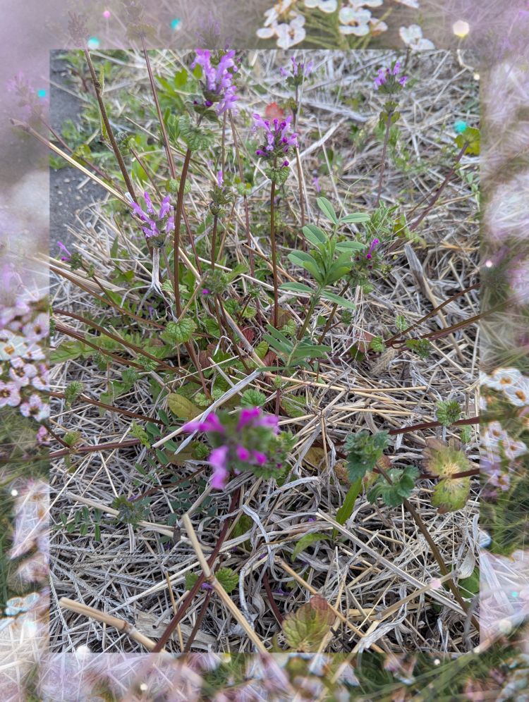 ゆうこ★美魔女★品のある女性が豹変！