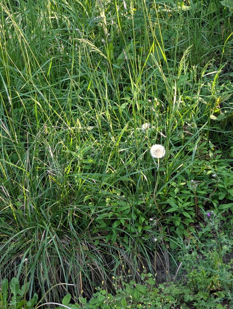 出勤しました(˶' ᵕ ' ˶)