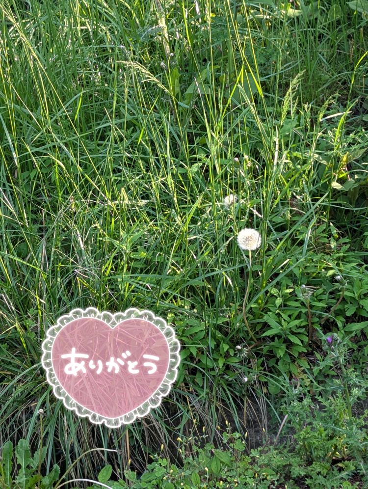 ありがとうございました(❁ᴗ͈ˬᴗ͈)