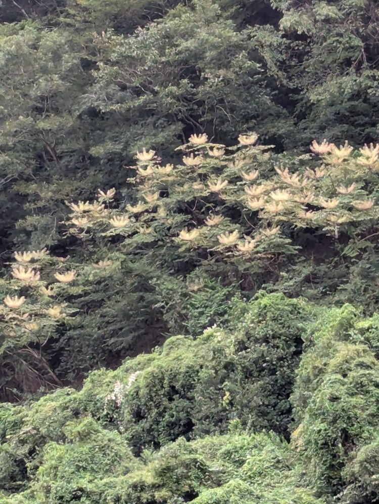 出勤してます(˶' ᵕ ' ˶)