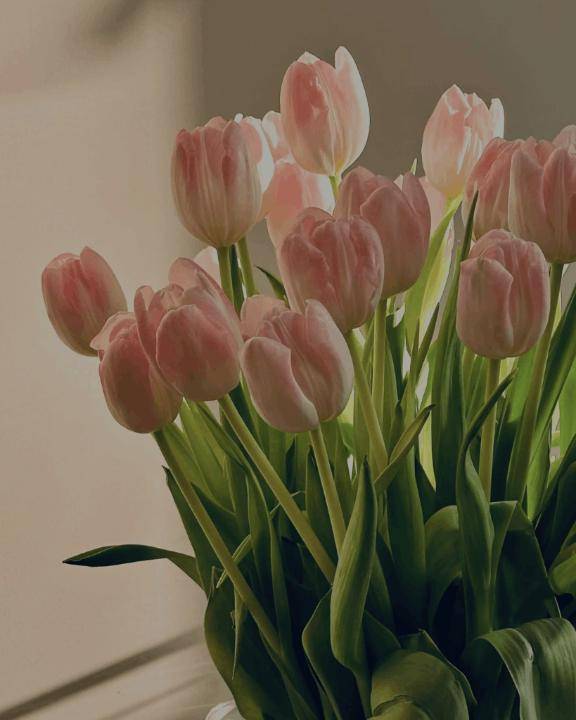 今日出勤します