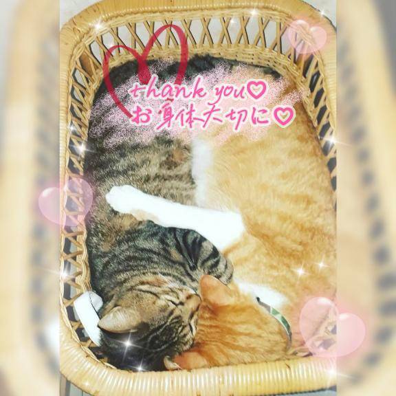 キャッスル402のSちゃん?