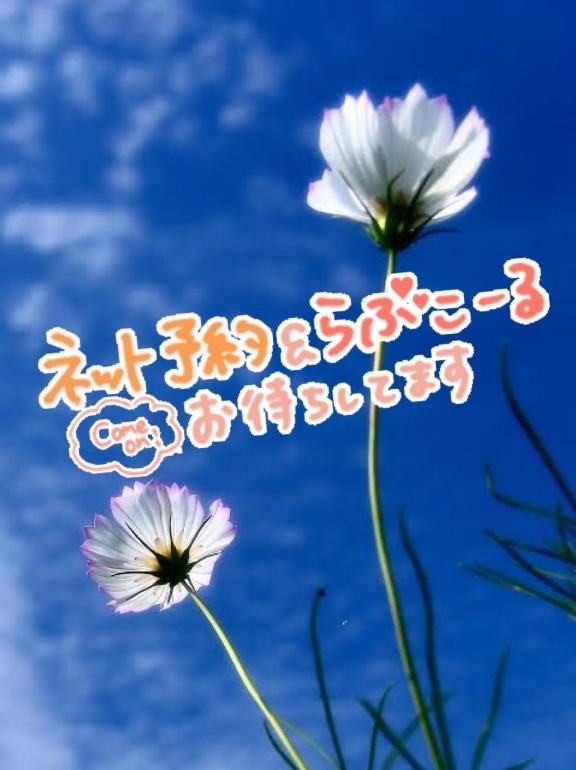 新人 美香(みか)(おもてなしヒルズ【DIVAグループ】)