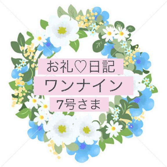 お礼日記?ワンナイン7号さま