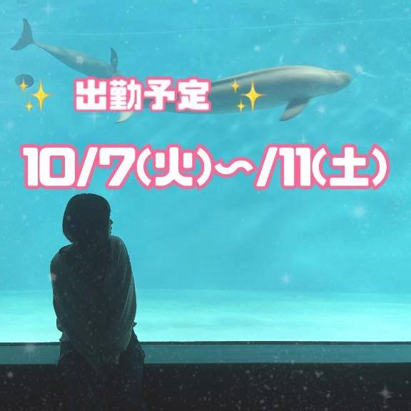 出勤予告🕺💗