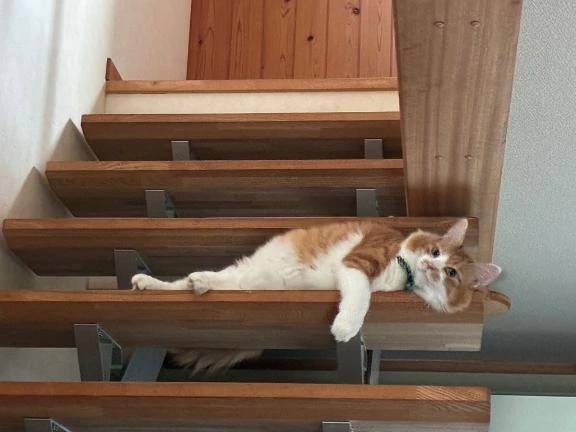 楽しんだ？🙂‍↕️