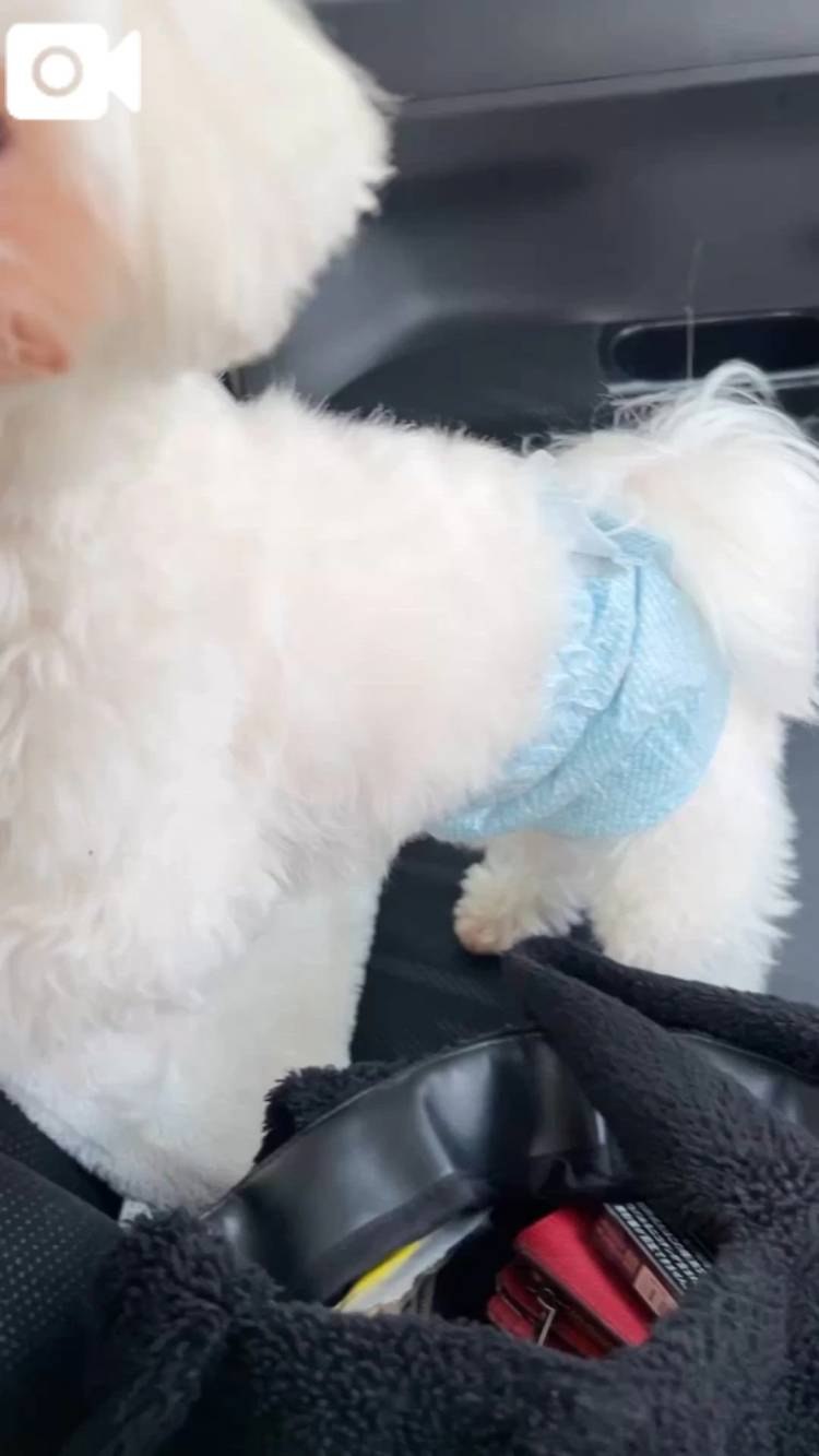 🥀_.Bell💌📮皆様に御礼です