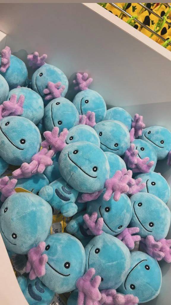 ♡次回の出勤 27日♡