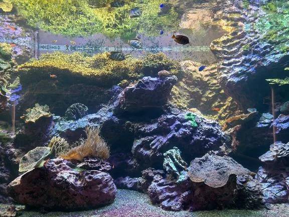 🩷15時間脱獄日記①🩷