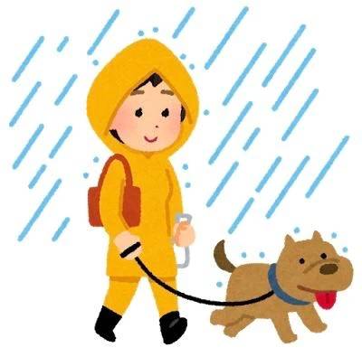 🌻今日は最終日だぬん☔️🌻