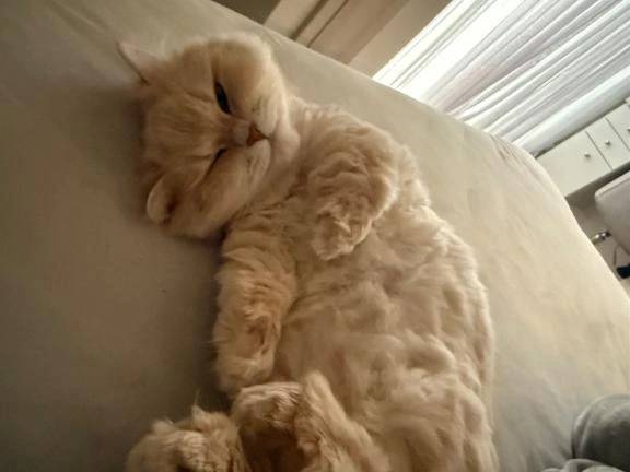 ごめんなさい😢