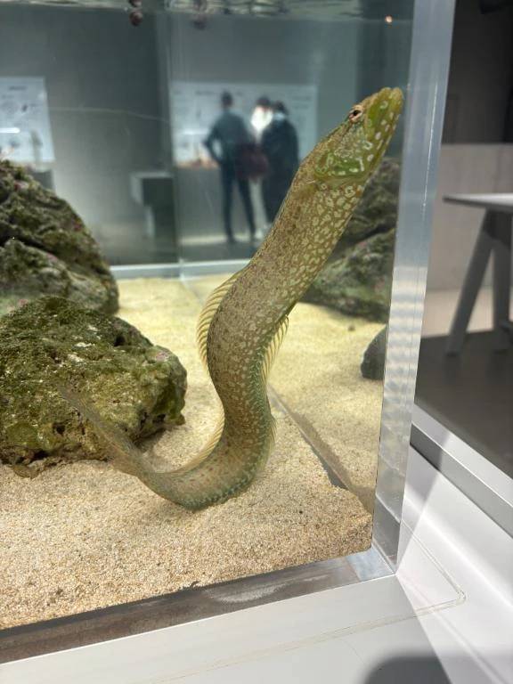 ご心配をおかけ！