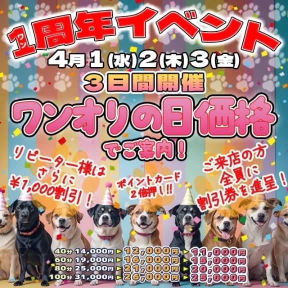 1周年2日目❣️