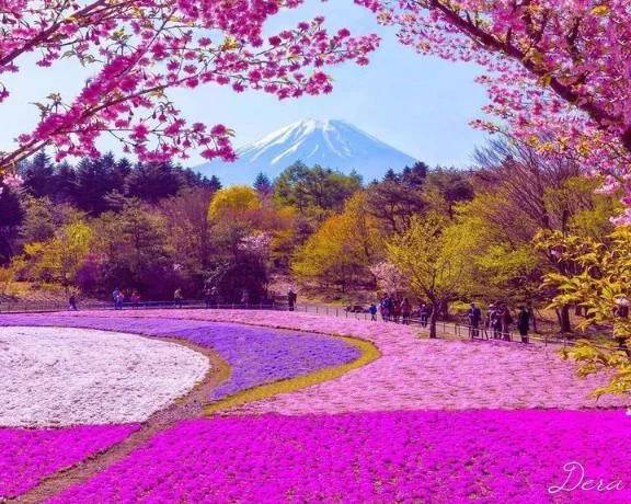 【4/20】心の声、現実の声