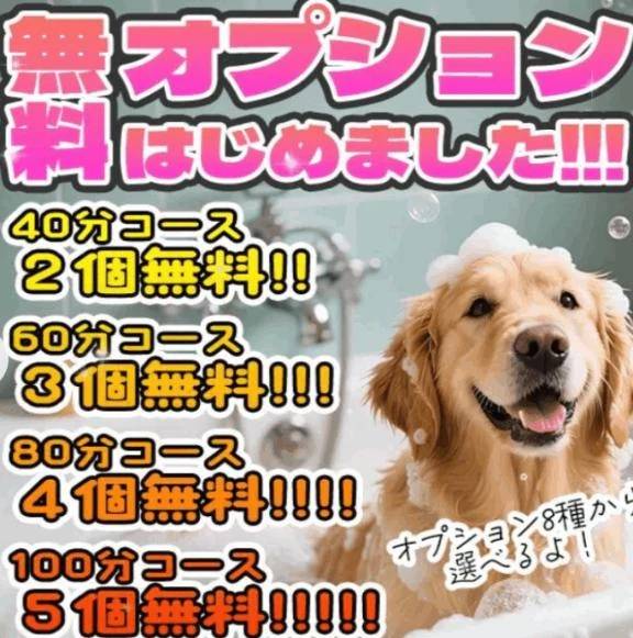 無料！