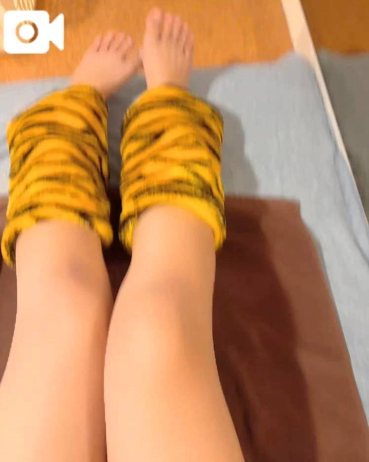🌼最近