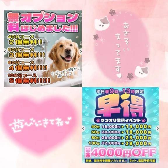 🌼イベント情報🉐✨