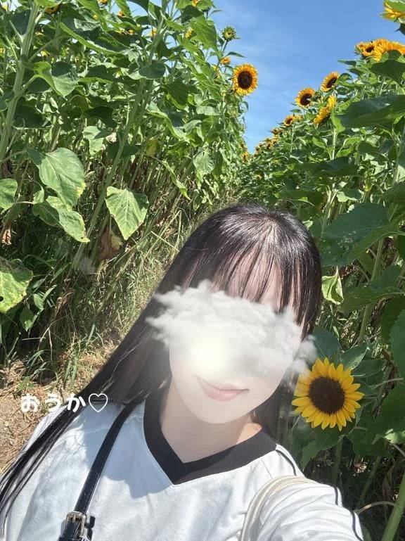 また逢える日まで🌸