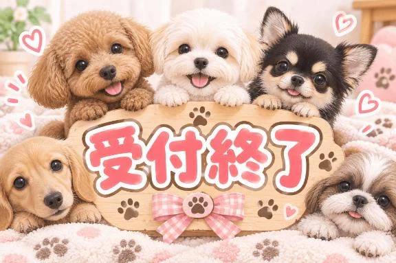 受付終了( ´ ꒳ ` )ﾉ