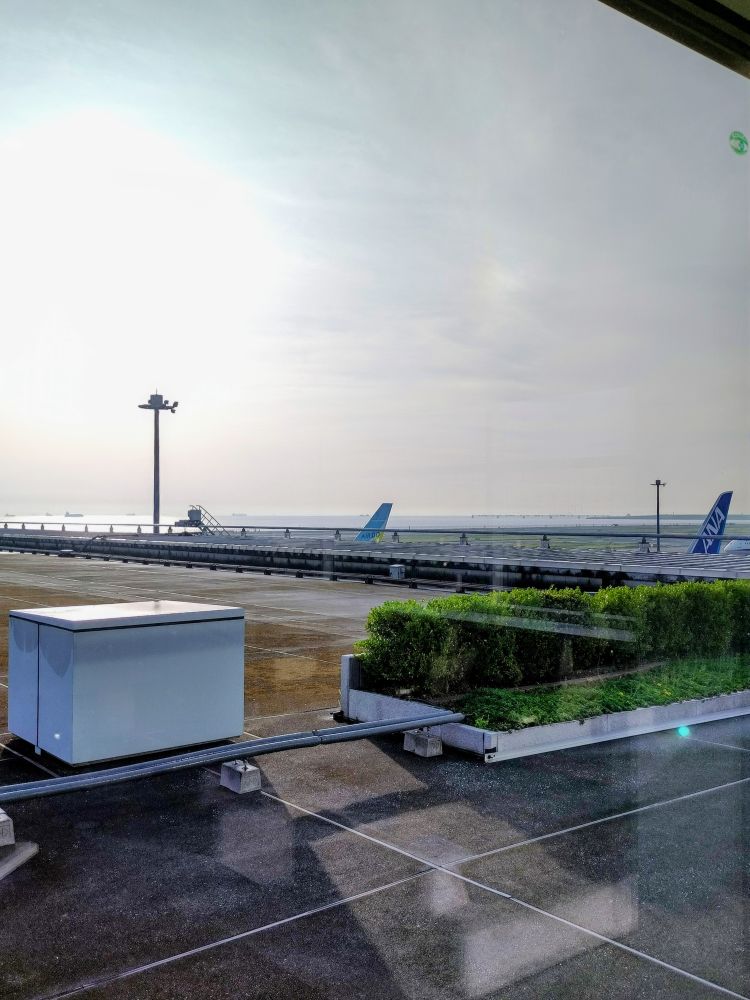 おはようございます☀️