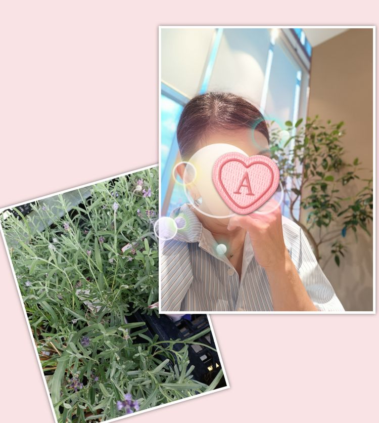 こんにちは。
