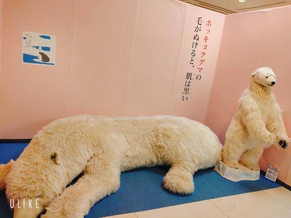 ざんねんな生き物展?