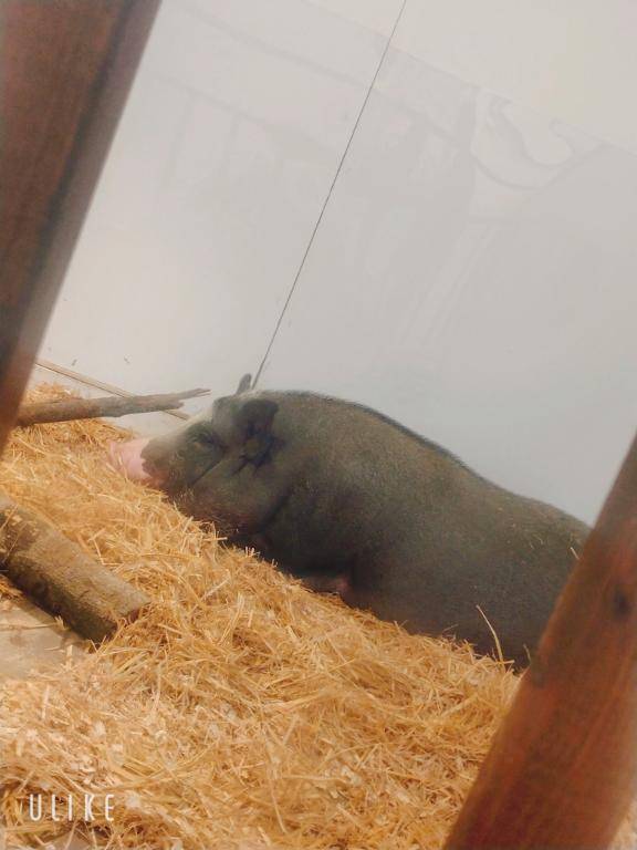 生き物展再び。。