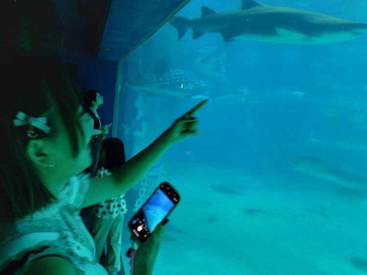 おはよう〜☀️