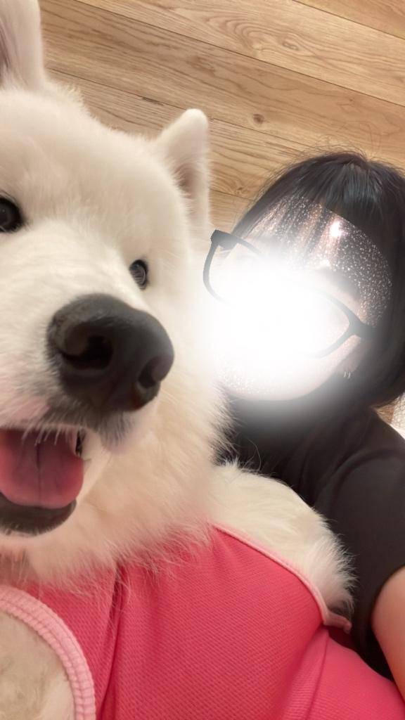 👼🏻癒しをご提供💗