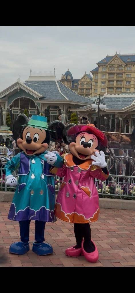 更新更新ᝰ✍🏻