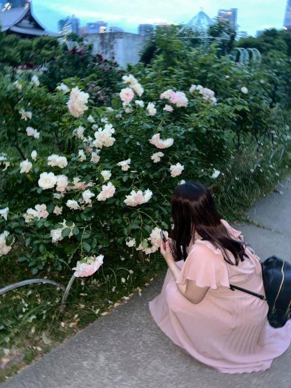 🌹🌹🌹