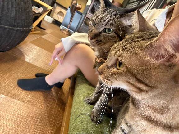 👼🏻いつも通りの日常💗