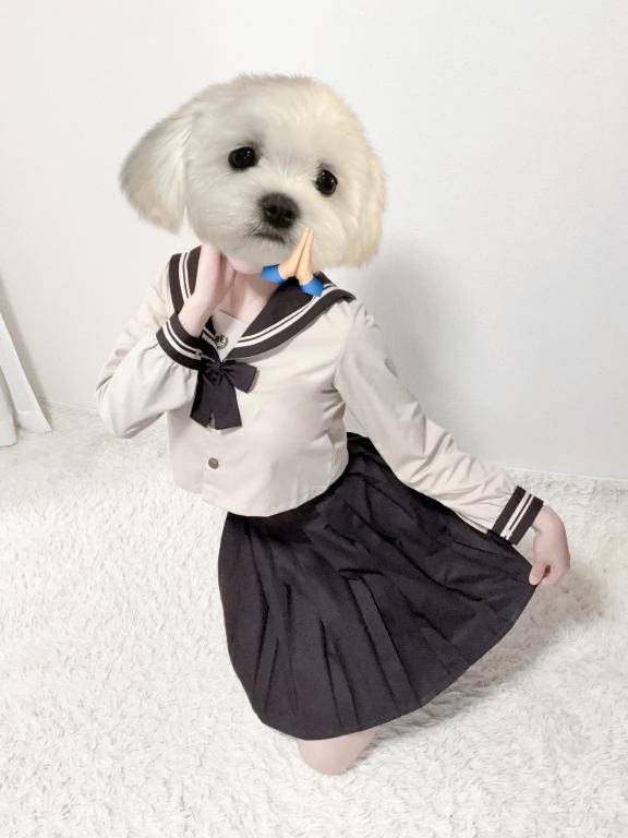 体験いちご【 Premium 】(パジャマ de おじゃま)